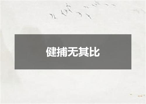 健捕无其比