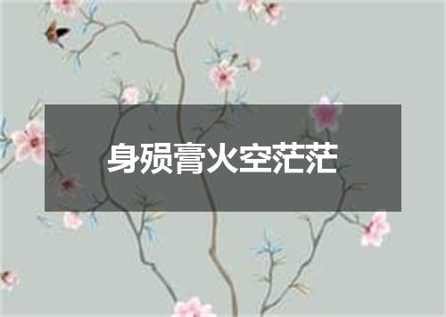 身殒膏火空茫茫