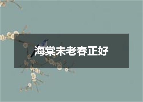 海棠未老春正好