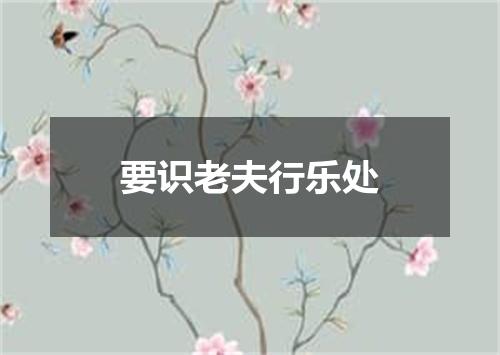 要识老夫行乐处