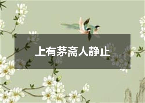 上有茅斋人静止