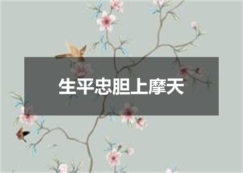 生平忠胆上摩天