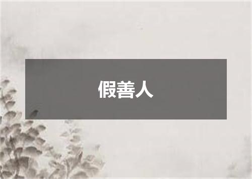 假善人