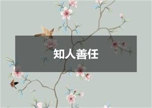 知人善任