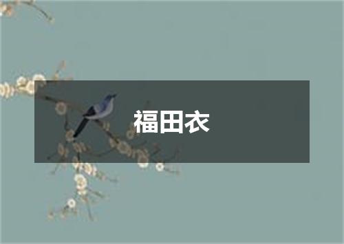 福田衣
