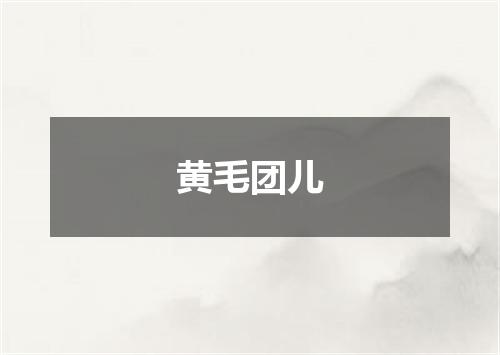 黄毛团儿
