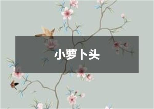 小萝卜头