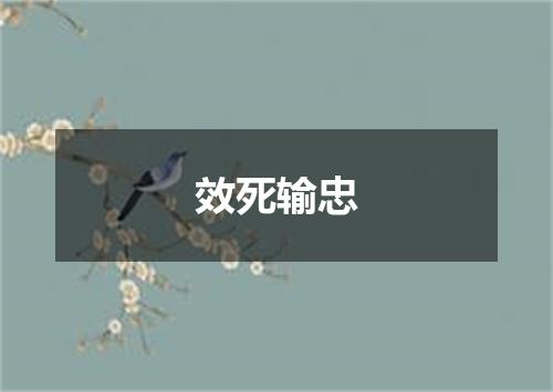 效死输忠