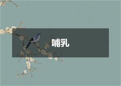 哺乳