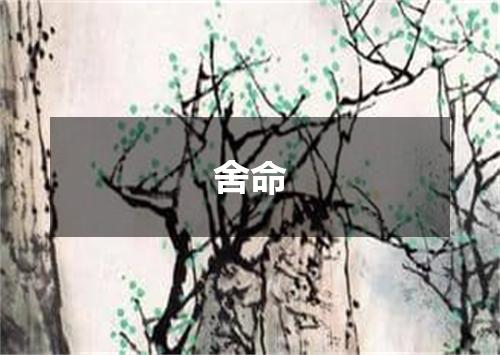 舍命