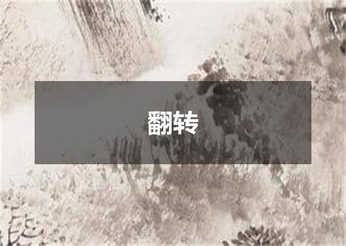 翻转