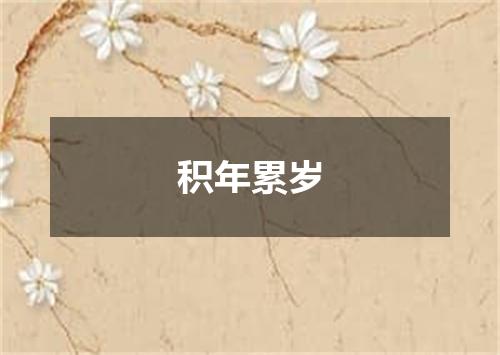积年累岁