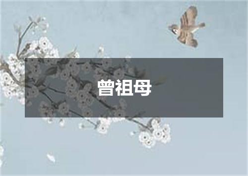 曾祖母