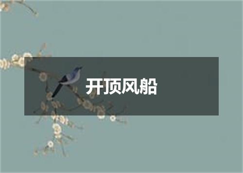 开顶风船