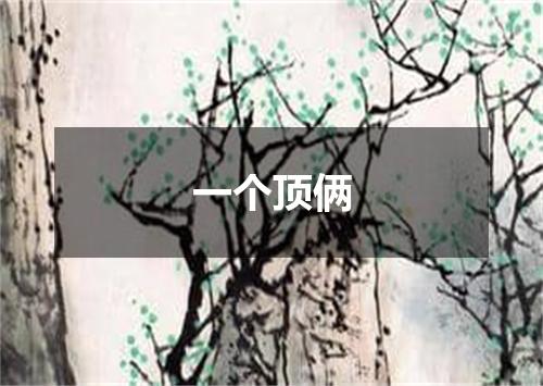 一个顶俩