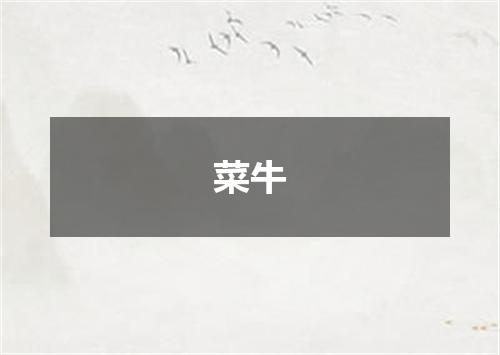 菜牛