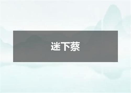 迷下蔡