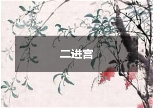 二进宫