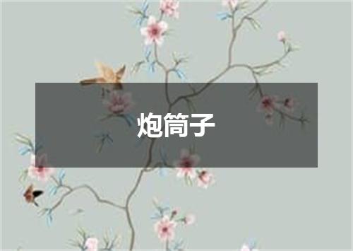 炮筒子
