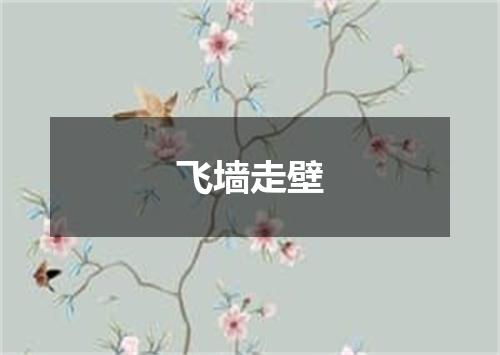 飞墙走壁