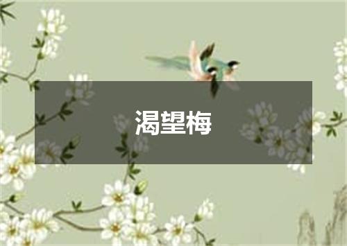 渴望梅