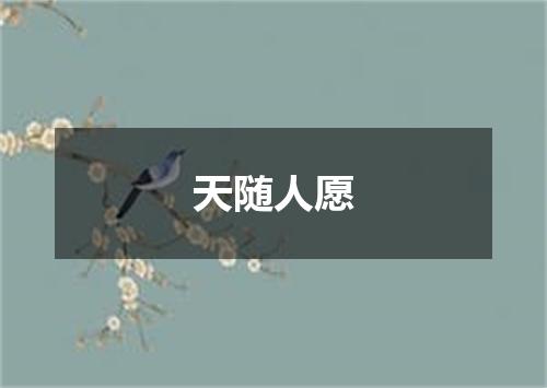 天随人愿