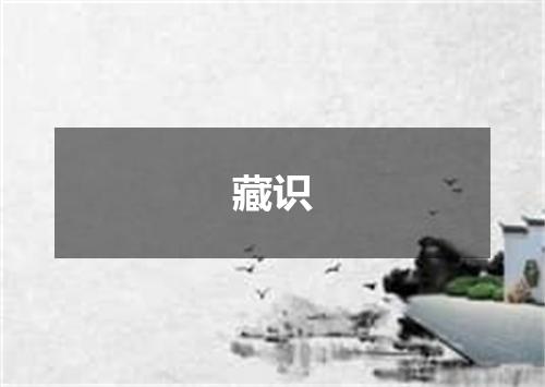 藏识