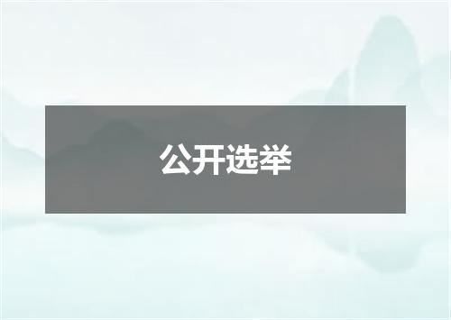 公开选举
