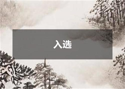 入选