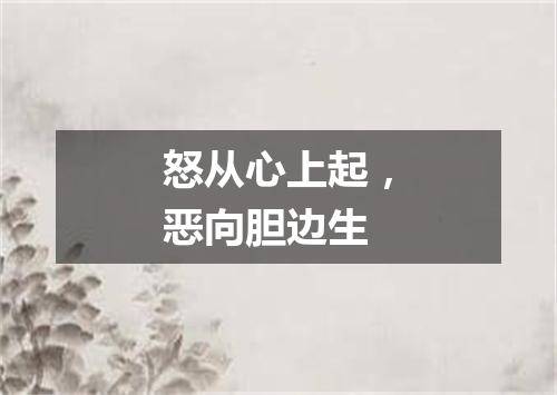 怒从心上起，恶向胆边生