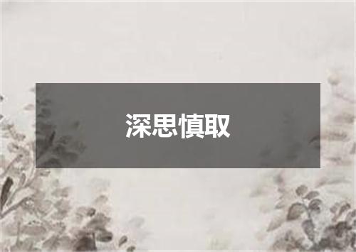 深思慎取