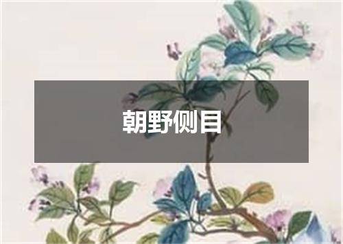 朝野侧目