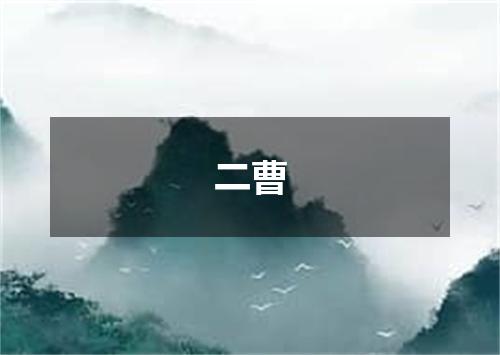 二曹