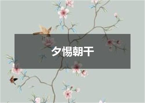 夕惕朝干
