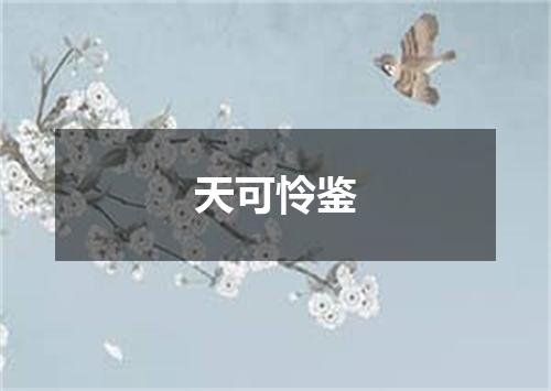 天可怜鉴