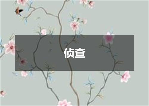 侦查
