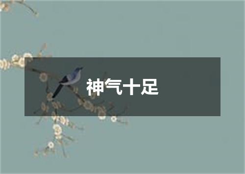 神气十足