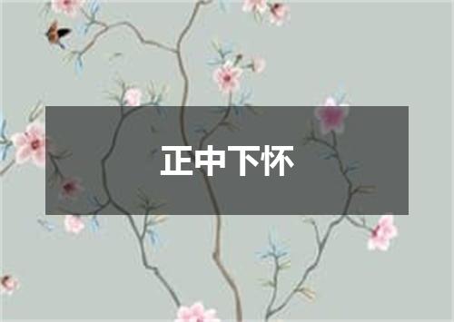 正中下怀