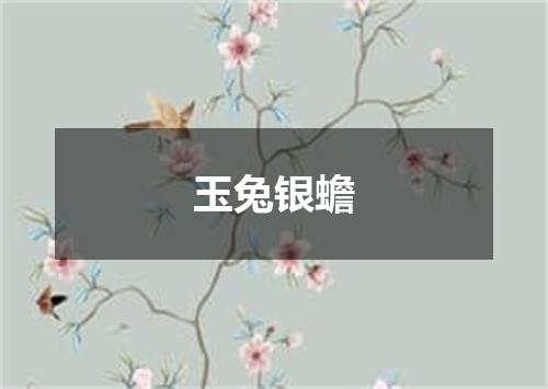 玉兔银蟾