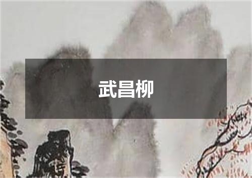 武昌柳