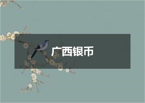 广西银币