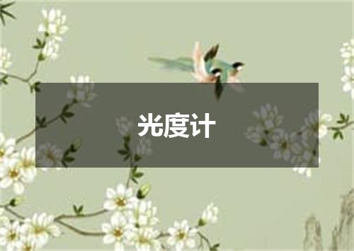 光度计