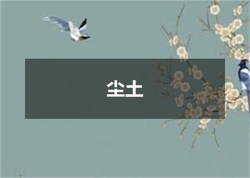 尘土