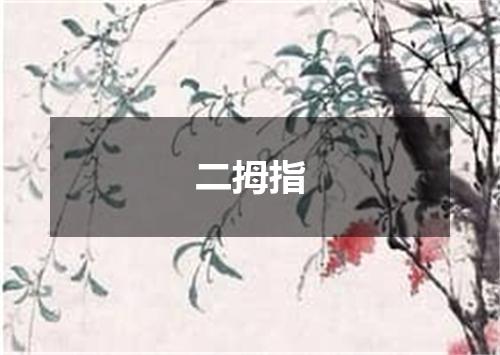二拇指