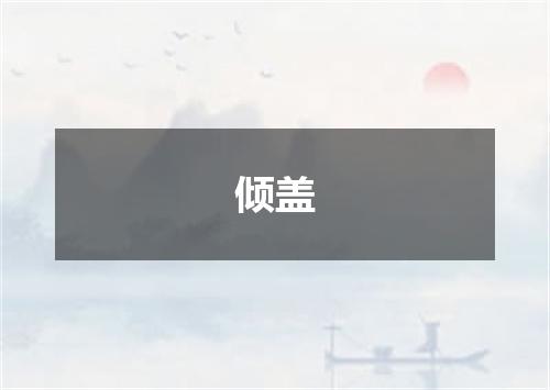 倾盖