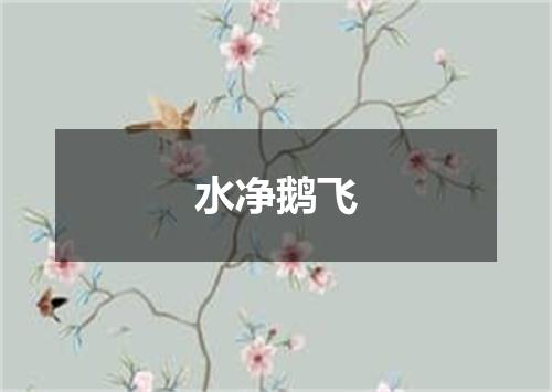 水净鹅飞