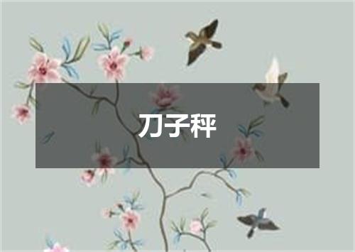 刀子秤