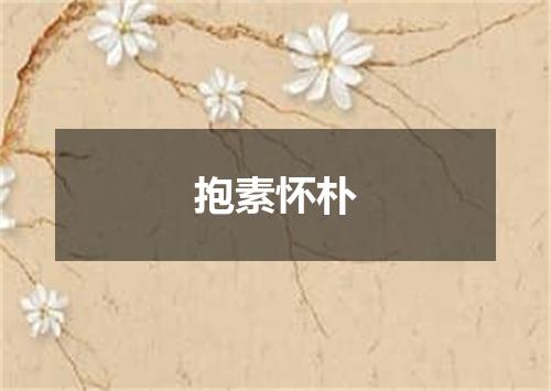 抱素怀朴
