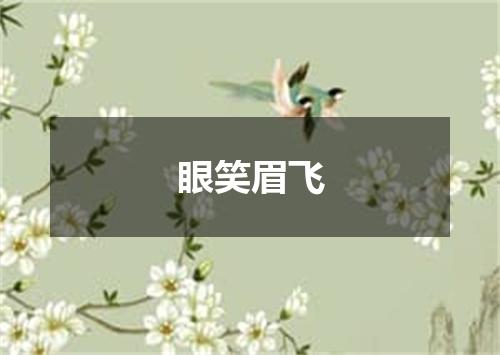 眼笑眉飞
