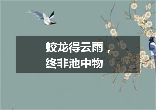 蛟龙得云雨，终非池中物